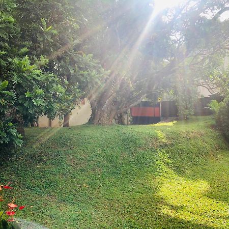 47 Alfred House - Free Pickup From Kandy City Екстер'єр фото