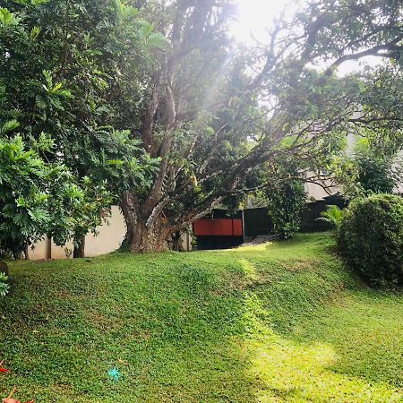 47 Alfred House - Free Pickup From Kandy City Екстер'єр фото