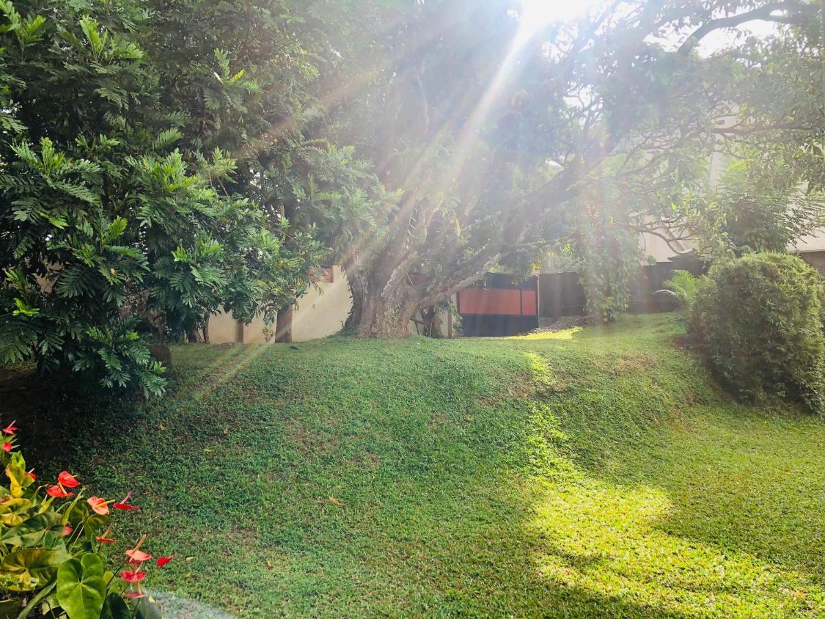47 Alfred House - Free Pickup From Kandy City Екстер'єр фото
